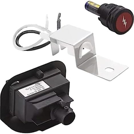 Kit gaz de rechange 80462, compatible avec les grilles Q100 Q120 Q200 Q220 Argenté (1/5)