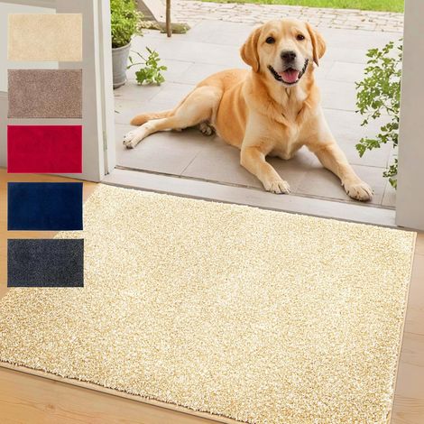 Tapis d'entrée absorbant Nasa Beige 137 x 210 cm