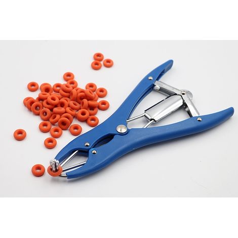 LAN Pince à castration élastique en acier inoxydable pour bétail, porc, mouton, ceinture 100 anneaux en caoutchouc 21,5 cm bleu (1/5)