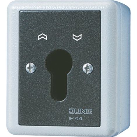 JUNG 834.28 G INTERRUPTEUR À CLÉ 834.28G
