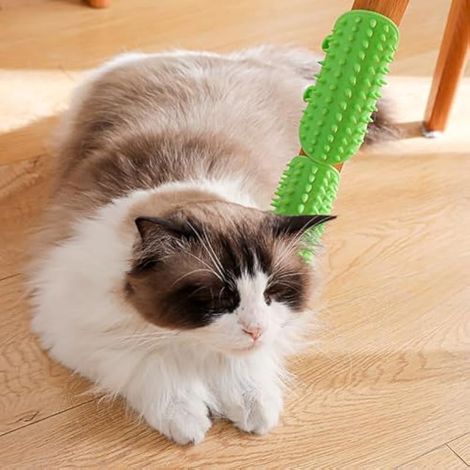 Lot de 4 brosses de bain pour chats et chiens, brosse de massage et de griffage 2 en 1 en silicone pour chats, brosse pour chat avec sangle réglable, brosse d'auto-toilettage pour chats pour pieds de  (1/3)