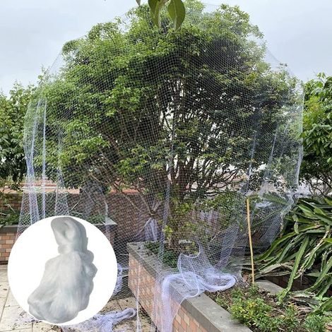 royaluxe - Filet de protection pour arbres fruitiers de jardin, filet professionnel anti-oiseaux, 10 x 10 m, maille de 2 cm [arbre de 3 mètres de haut] (1/5)
