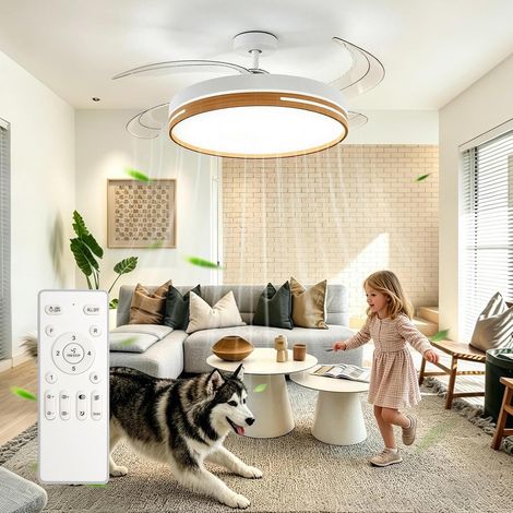 Ventilateur de Plafond avec Éclairage LED 30W 4 Pales Rétractables Transparentes Réglable Minuterie Lampe Ventilateur de Plafond Éclairé avec Mémoire et Télécommande 6 Vitesses (1/5)