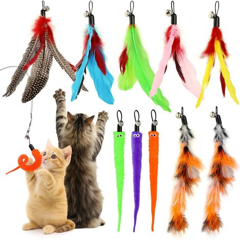 10 Pièces Jouets Baguette Chat, Accessoires de Rechange (1/5)