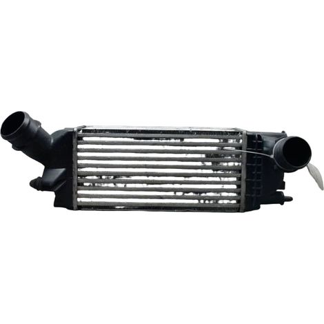 Echangeur Air CITROEN C5 2008- [PRODUIT D'OCCASION]♻️384k8 (1/4)