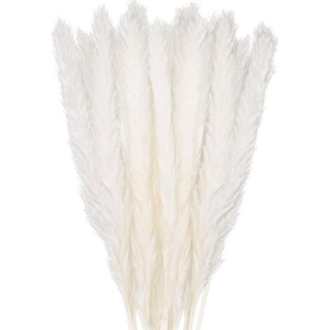 30 steli di erba della pampa, bouquet di erba della pampa naturale da 40 cm, vaso di fiori secchi, decorazione in stile bohémien bianco, camera da letto, soggiorno, fotografia di matrimonio, decorazio (1/5)