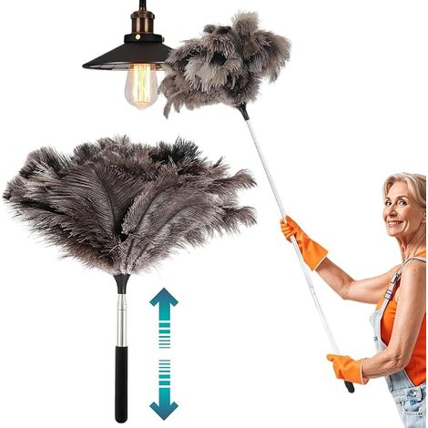 Plumeau long extensible, plumeau télescopique nettoyage, lavable, plumes manche télescopique, produits de nettoyage, maison, voiture, bureau (1/3)