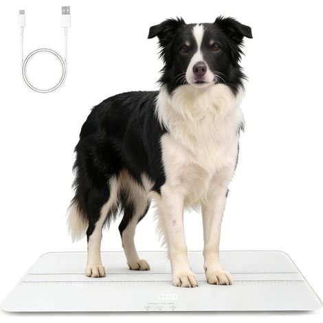 Pèse-personne numérique pour chiens, version de charge, plate-forme pour animaux, 3 modes de pesée, kg, kg, poids maximal 100 kg, précision 10 g, 69,5 x 33 cm (1/5)