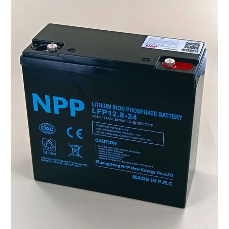 Batteria 12.8V 24Ah LFP 307Wh M5 + Bluetooth NPP LFP12.8-24 (1/4)