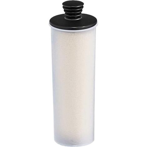 Compatible avec les aspirateurs Karcher SC Series SC1 SC2 SC3 SC4 SC5 SC7 CTK10 CTK20, cartouche de détartrage, tige de filtre (1pcs)