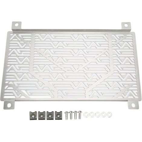Couvercle de Radiateur, Couvercle de Radiateur en Alliage d'aluminium, Protection de de Moto, Protection de, Grille de de Moto, de Réservoir d'eau en Acier Inoxydable pour 250300 (SILVER) (1/5)