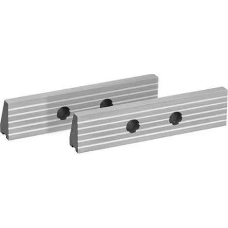 Fervi M028/100GR Ganasce rigate di ricambio 100x30 mm