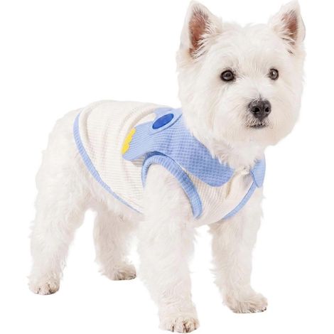 Gilet rafraîchissant chien veste respirante anneau D traction polyester chiots chats petits/moyens promenades camping été taille M (1/5)