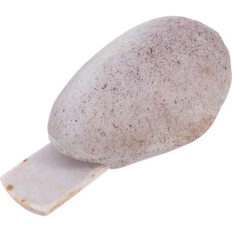 Boîte Clé Extérieure Pierre Résine Réaliste Cachette Sécurisée pour Clés Jardin Bureau Intérieur et Extérieur Rangement Pratique et Décoratif