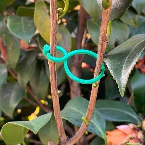Plant Clips - Plastic Garden Support Clips - For Climbing Plants Tomatoes Cucumbers Grapes - 200 Pieces (1/5)