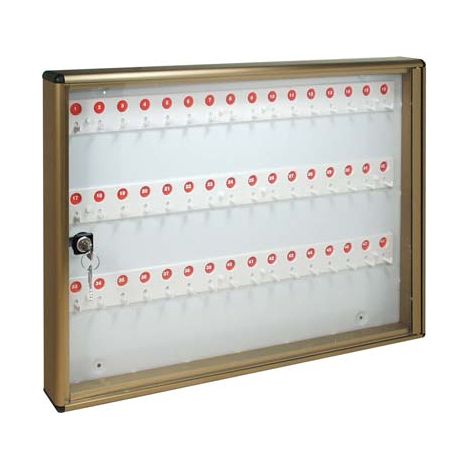 BACHECA PORTA CHIAVI ALUBOX  ALLUMINIO BRONZATO CHIAVI 48 MM 550X50 H.MM 400