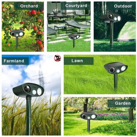 Difesa Solare Ultrasonica per Giardino, Impermeabile, LED, Sensore di Movimento, Anti-Gatti, Cani, Uccelli, Topi, Scoiattoli, 100% Efficace (1/4)