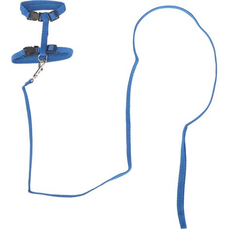 Harnais pour chat, ensemble de laisses, anti-fuite, réglable, léger, poitrine pour chaton, avec corde de Traction, pour la marche en plein air, bleu (1/5)