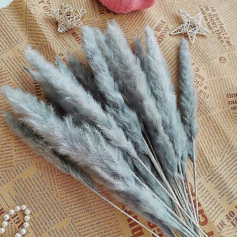 15 pièces de roseaux, épis de blé de la pampa, queue de lapin, fleurs séchées naturelles, bouquet, décoration de mariage, de Noël ou de décoration intérieure-wine red15pcs