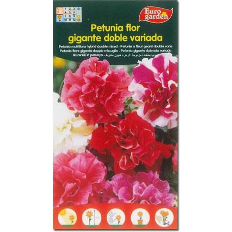 SEMILLAS FITO FLORES PETUNIA FLOR GIGANTE DOBLE VARIADA=00633
