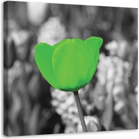 Cadre déco Fleur de tulipe 50x50 (1/5)