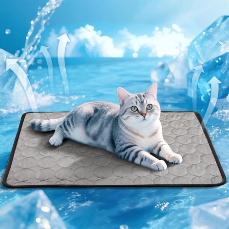 Tapis Rafraîchissant pour Chien et Chat en été Chaud, Tapis Frais et Durable pour Animaux de Compagnie - Accessoire de Matelas pour Chats et Chiots - pour Maison et Voyage 60 x 50 cm (1/5)