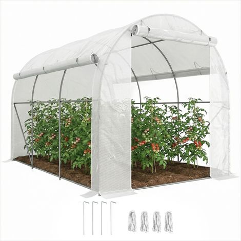 Serre de jardin tunnel 6 m² acier galvanisé bâche anti-UV 2,96 x (1/5)