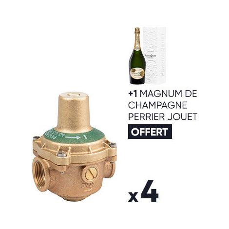 Le titre du produit est déjà en français : "hc 4reduc11bis+champagne". (1/2)