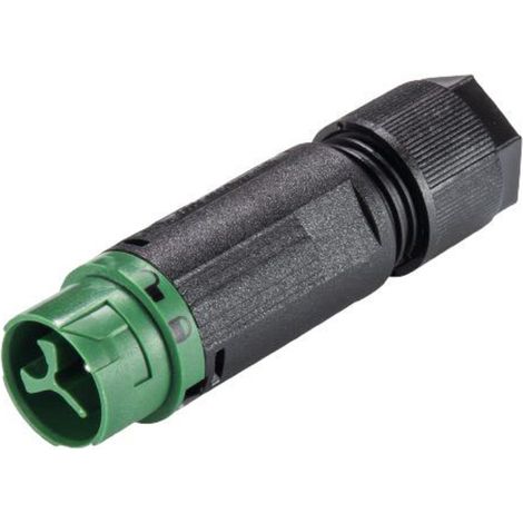 Wieland Electric 46.032.4555.7 Rundstecker Stecker, gerade Gesamtpolzahl: 2 + PE Serie (Rundsteckver