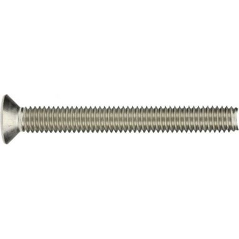 Reidl ISO 10642 Senkschrauben mit Innensechskant, M 10 x 60,  A4 blank, VG (1/2)