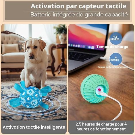 Jouets interactifs pour chiens, Ballon de foot pour chien, Ballons pour chiens sangles pour chiens (1/4)