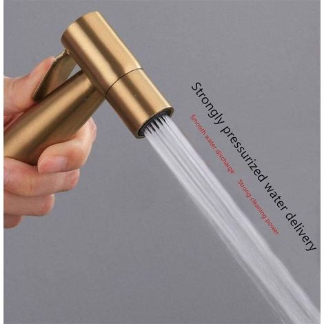 Douchette de bidet en acier inoxydable, ensemble de douchette de bidet, douchette de robinet pour toilettes (doré) (1/2)
