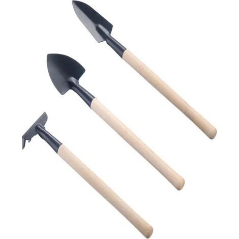 Set Outils Jardinage - 3 Pièces Manche Fin en Bois Tête en Fer Forgé - Pour Bonsaï et Plantes en Pot - Lot de 1 (1/5)