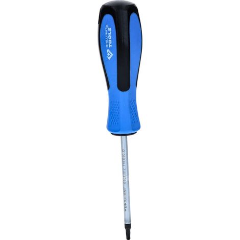 Brilliant Tools BT031012 Schraubendreher TORX, T15 x 80 mm (1/5)