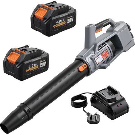 Cordless 36 V Leaf Blower with 2 Batteries and Charger (1/5)