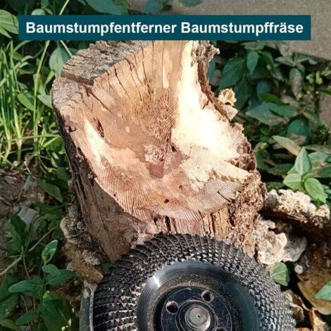 FOREHILL 125-mm-Holzschleifscheibe, 3-teiliges Set zum Formen, Schleifen und Trennen. Scheiben für Winkelschleifer. (1/4)