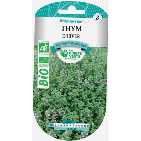 Graines thym d'hiver BIO Les Doigts Verts