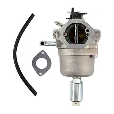 Carburateurs compatibles avec les moteurs Briggs & Stratton 21B707 21B807