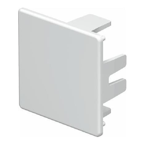 Viessmann Führungsschiene vorn rechts 7234669 (1/5)