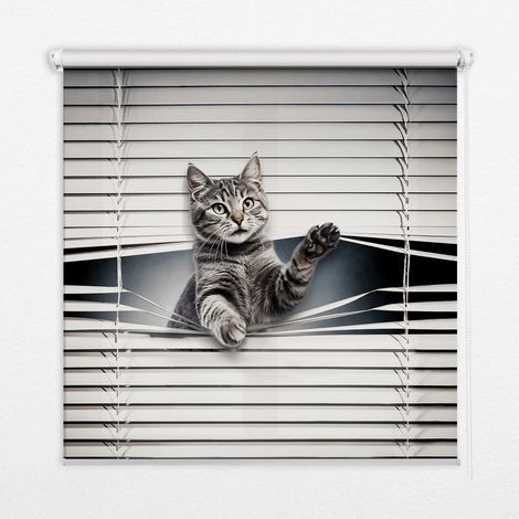 Tenda a Rullo Interna per Finestra - Tenda Filtrante Luce - Tenda Privacy - Tenda Decorativa Rettangolare - Rullo per Interni - (100 cm x 100 cm) - Gatto (1/5)