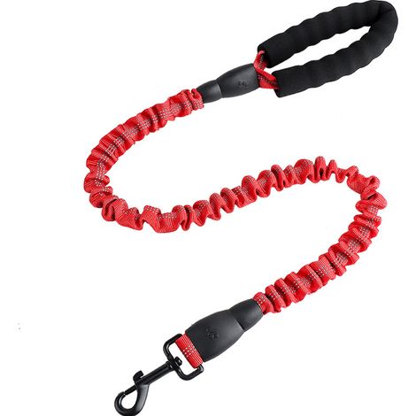 Laisse extensible réfléchissante pour chien, laisse élastique de dressage pour chiens (1/5)
