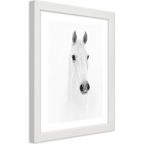 Quadro con cornice, Cavallo grigio - 20x30 (1/5)