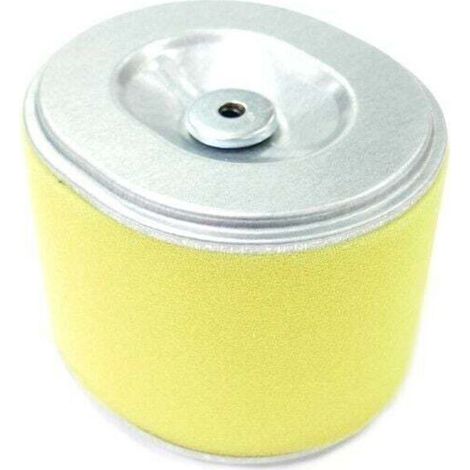 Filtre à air moteur Honda GX240 et GX270 (1/4)
