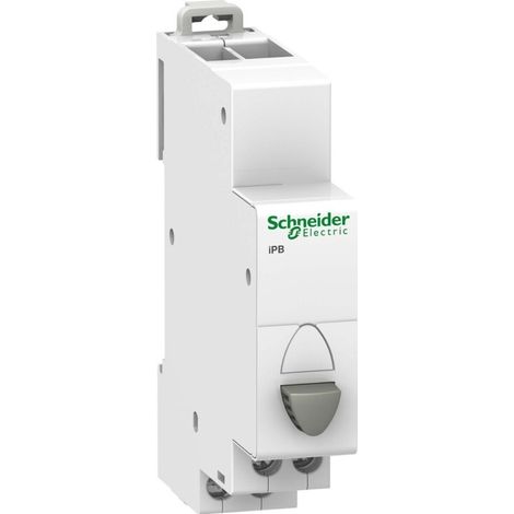 Schneider Electric BP DRUCKTASTER GRAU 1S (A9E18032)