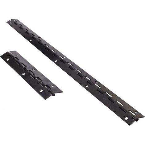 Lot 4 charnières piano inox noires 300x30x1mm, 48 vis incluses, pour portes armoires, bateaux, meubles