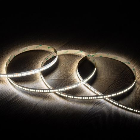 Bobina 5m Striscia LED 24V SMD 238 LED/m 29W/m 4000lm/m High Lumen Larga 10mm IP20 Taglio 3cm 6000K Bianco Freddo