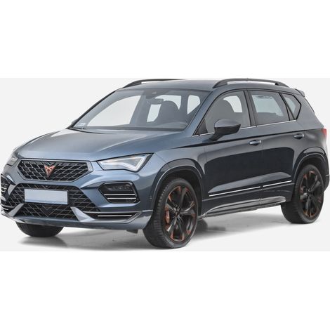 Baguettes de porte latérales chromées Seat Ateca (1/5)