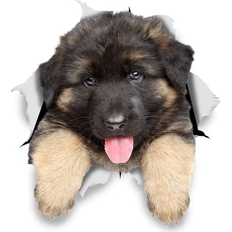 Autocollants Chiens Muraux 3D - Paquet de 2 - Stickers Berger Allemand Chiot Pour Mur - Frigo - Toilette - Salle - Voiture - Réfrigérateur11x12CM (1/4)