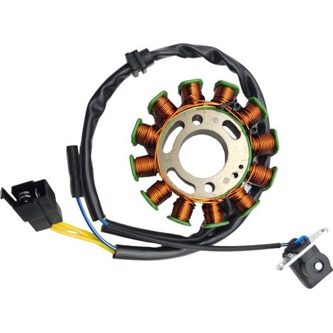 Convient aux accessoires de bobine de stator pour magnéto de la moto Yuexing National III HJ125T-9C9D Kymco à 12 pôles.