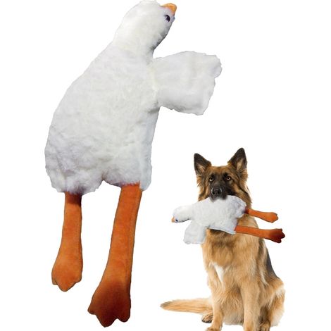 M cher pour Chien Divertissement des Animaux Qui S ennuient (1/5)